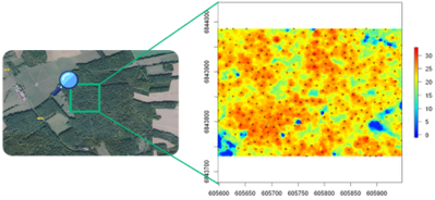 Size, Species & Density